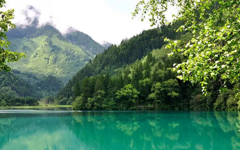 高性能高效